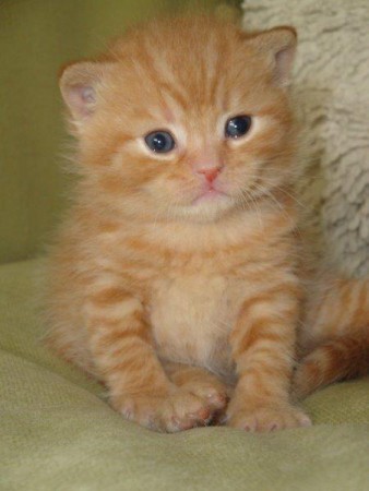 Wat een SCHATJE ....mijn ventje....